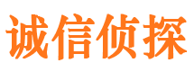 镜湖市调查取证